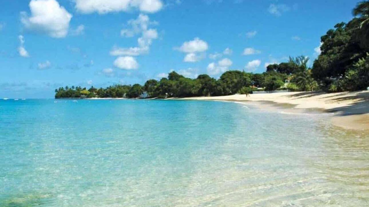 Photo of Others in Lower Carlton Beach
