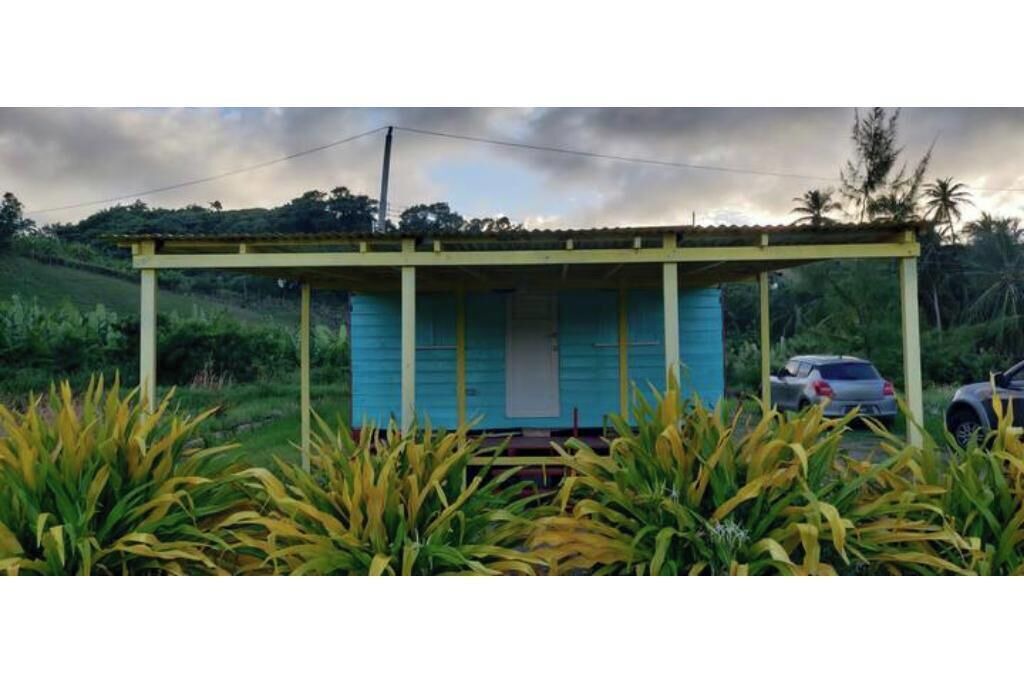 Photo of Outdoor in Newcastle