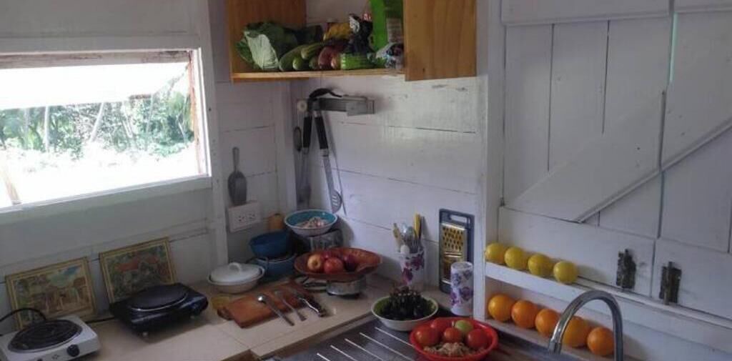 Photo of Kitchen in Newcastle