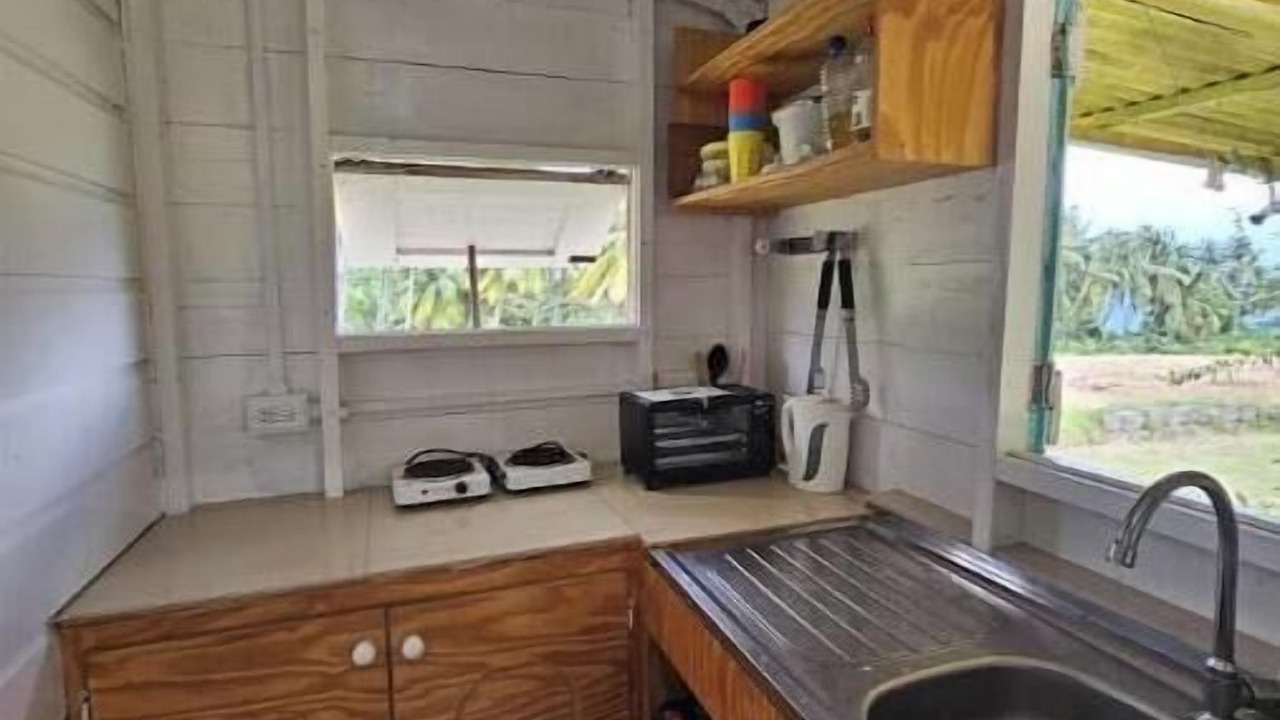 Photo of Kitchen in Newcastle