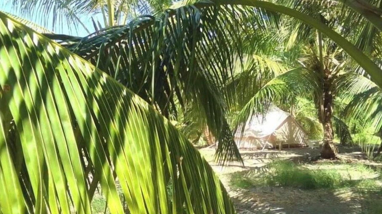 Photo of Outdoor in Newcastle