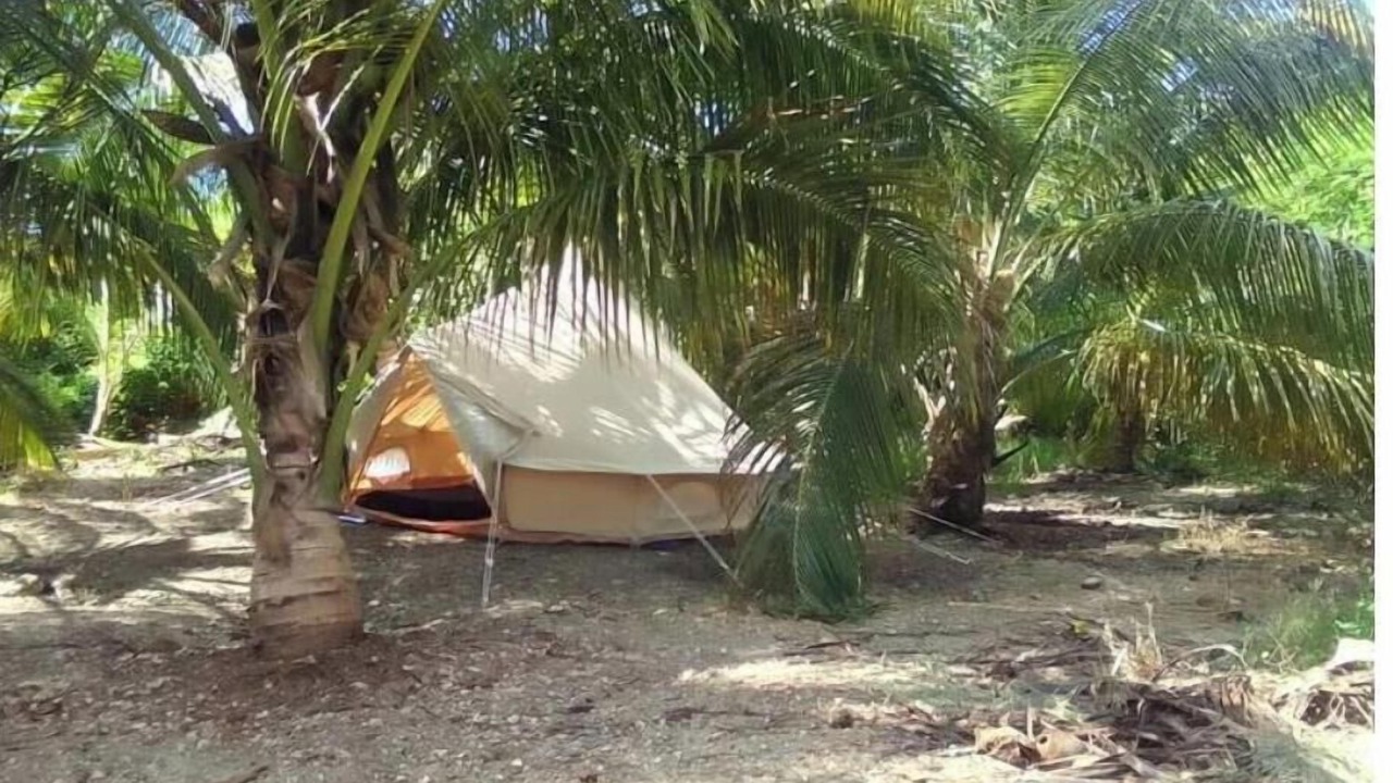 Photo of Outdoor in Newcastle