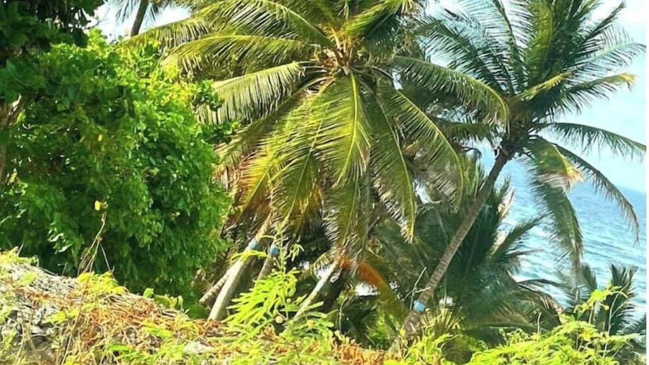 Photo of Outdoor in Newcastle