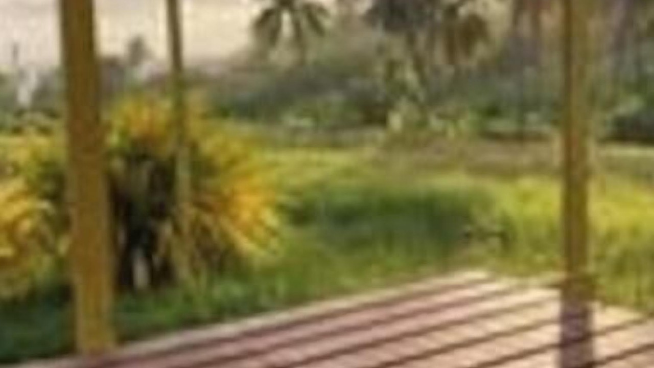 Photo of Outdoor in Newcastle