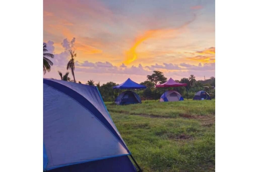 Photo of Outdoor in Newcastle