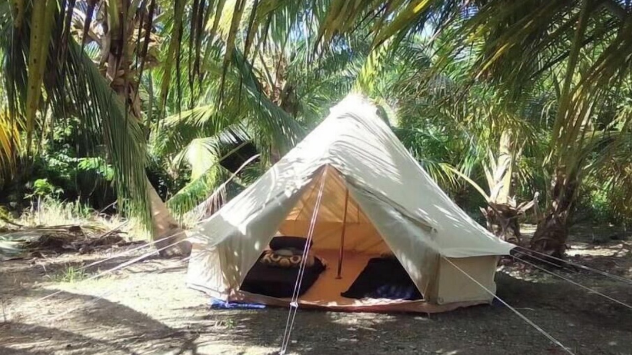 Photo of Outdoor in Newcastle