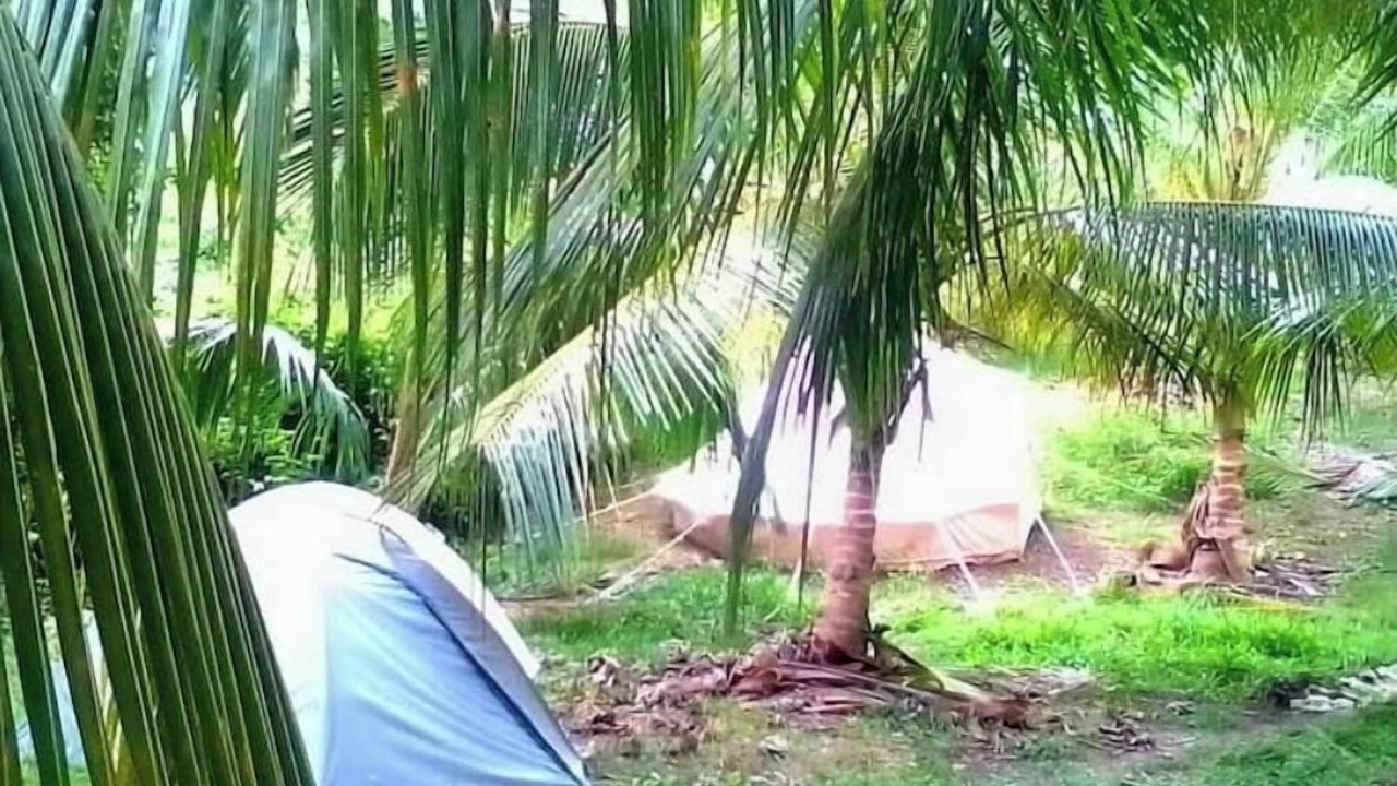 Photo of Outdoor in Newcastle