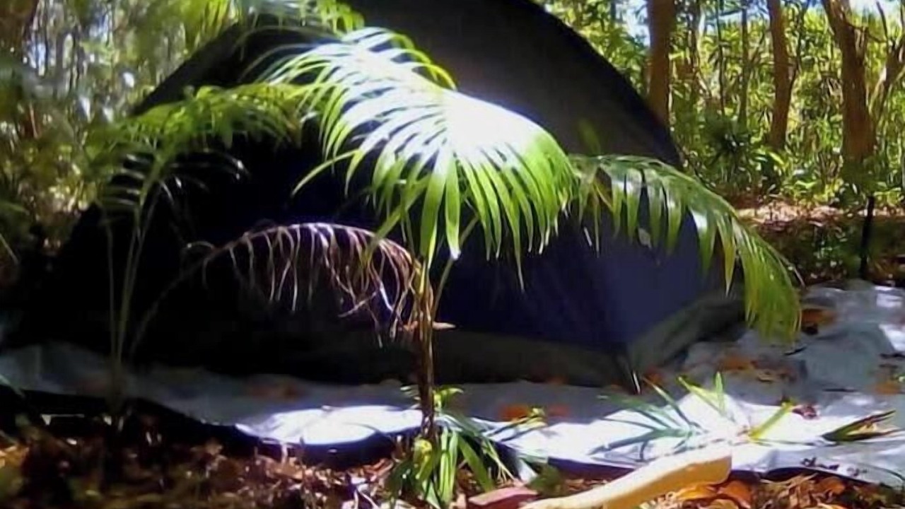 Photo of Outdoor in Newcastle