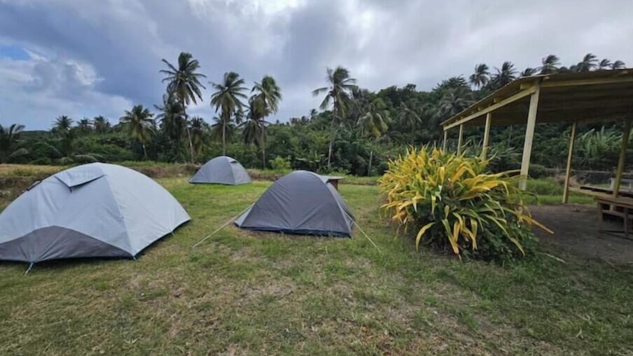 Photo of Outdoor in Newcastle