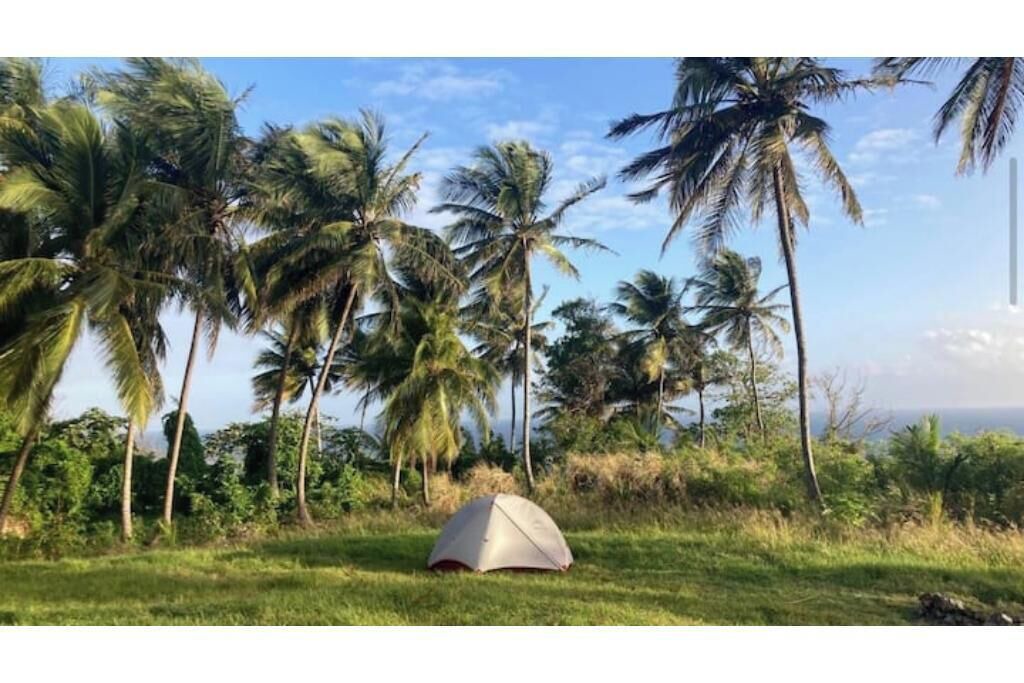 Photo of Outdoor in Newcastle