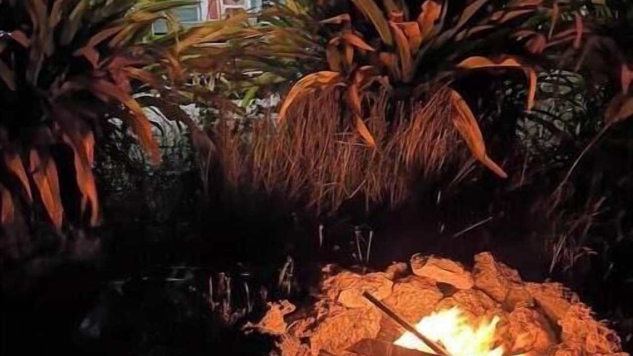 Photo of Outdoor in Newcastle