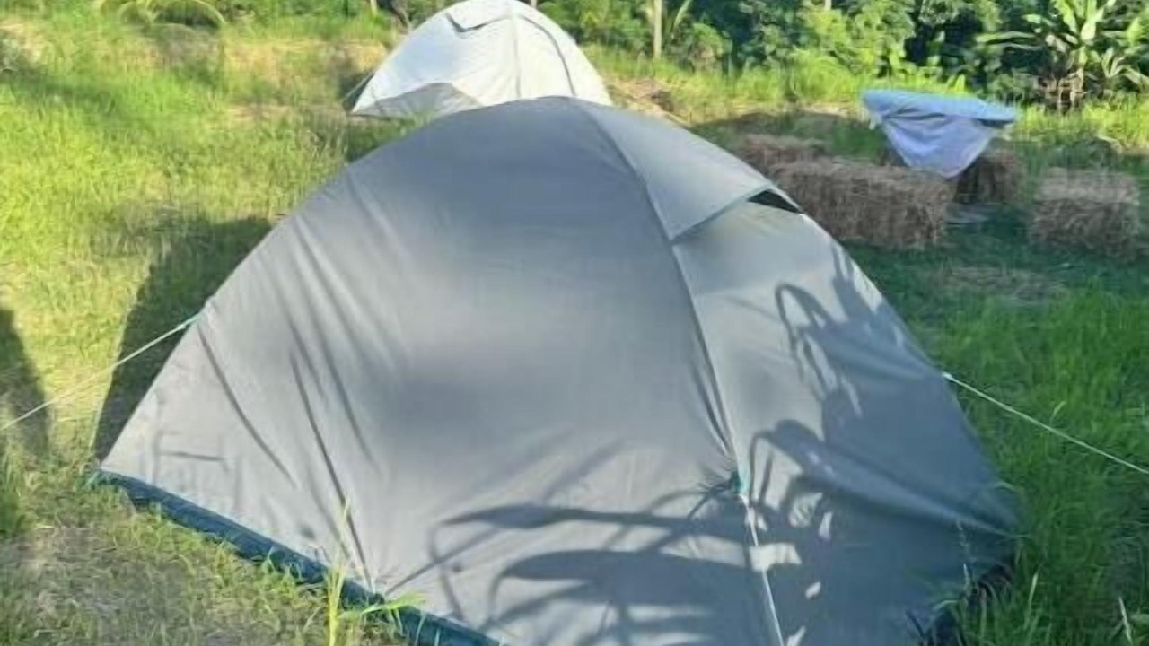 Photo of Outdoor in Newcastle