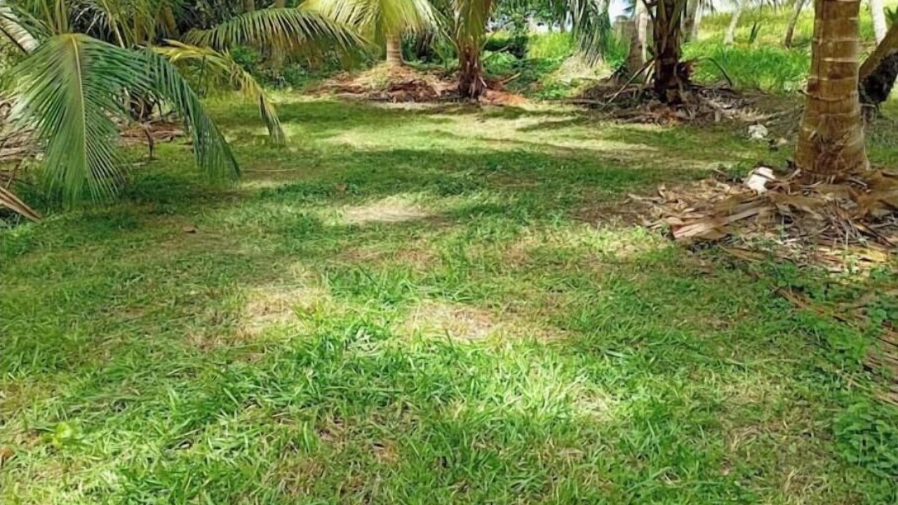 Photo of Outdoor in Newcastle