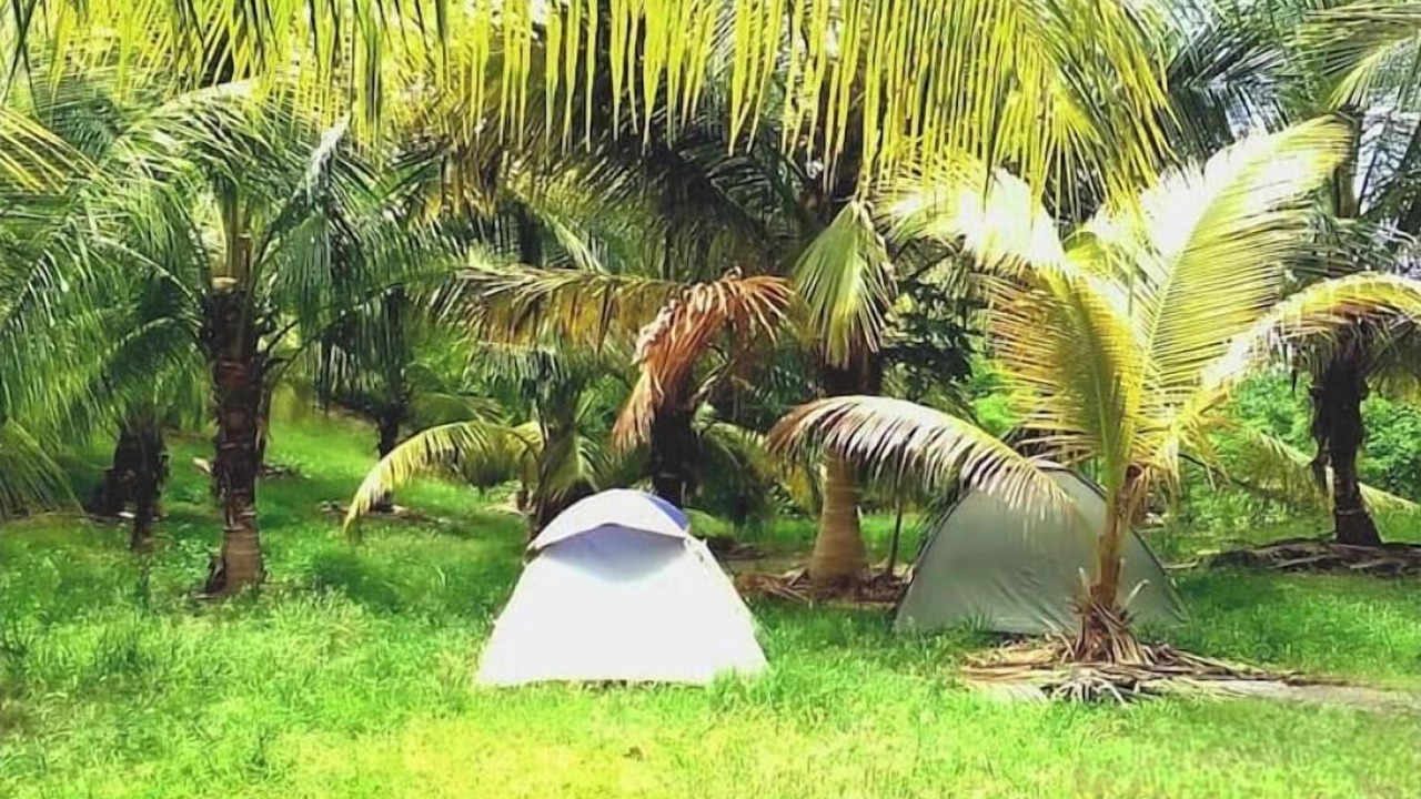 Photo of Outdoor in Newcastle
