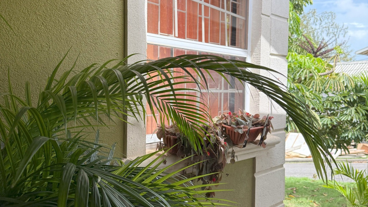 Photo of Outdoor in Husbands