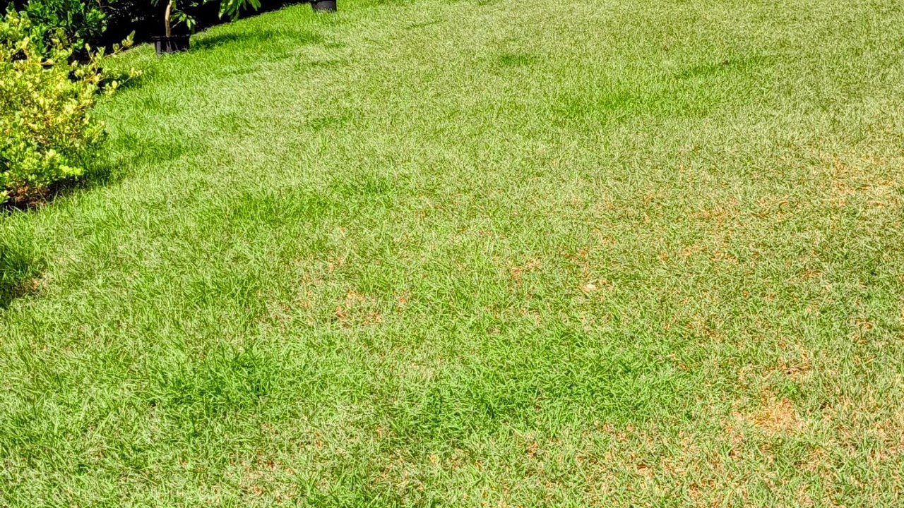Photo of Outdoor in Husbands
