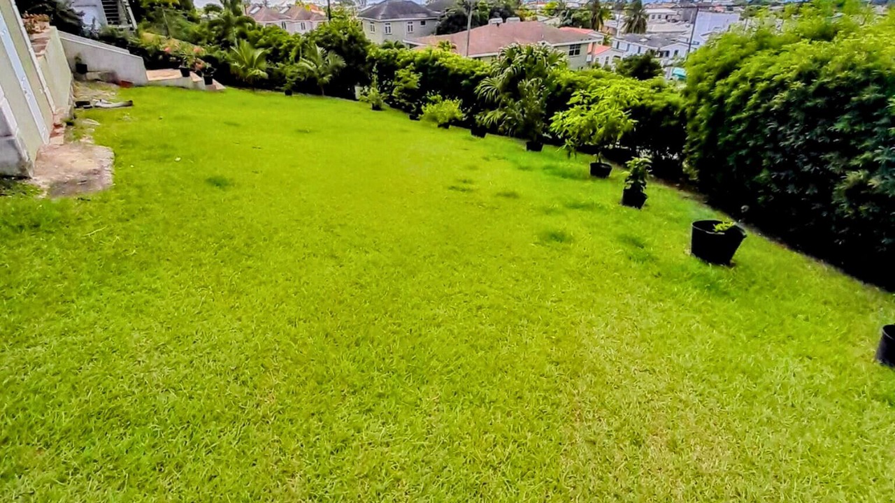 Photo of Outdoor in Husbands