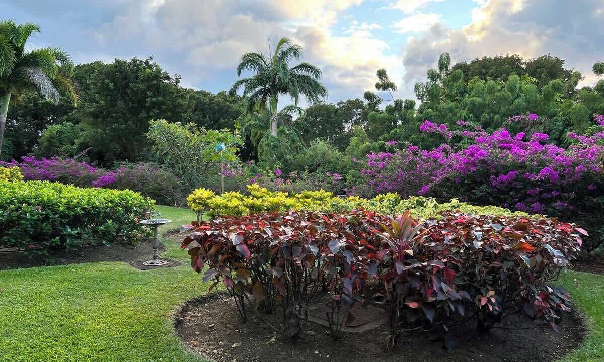 Photo of Outdoor in Westmoreland