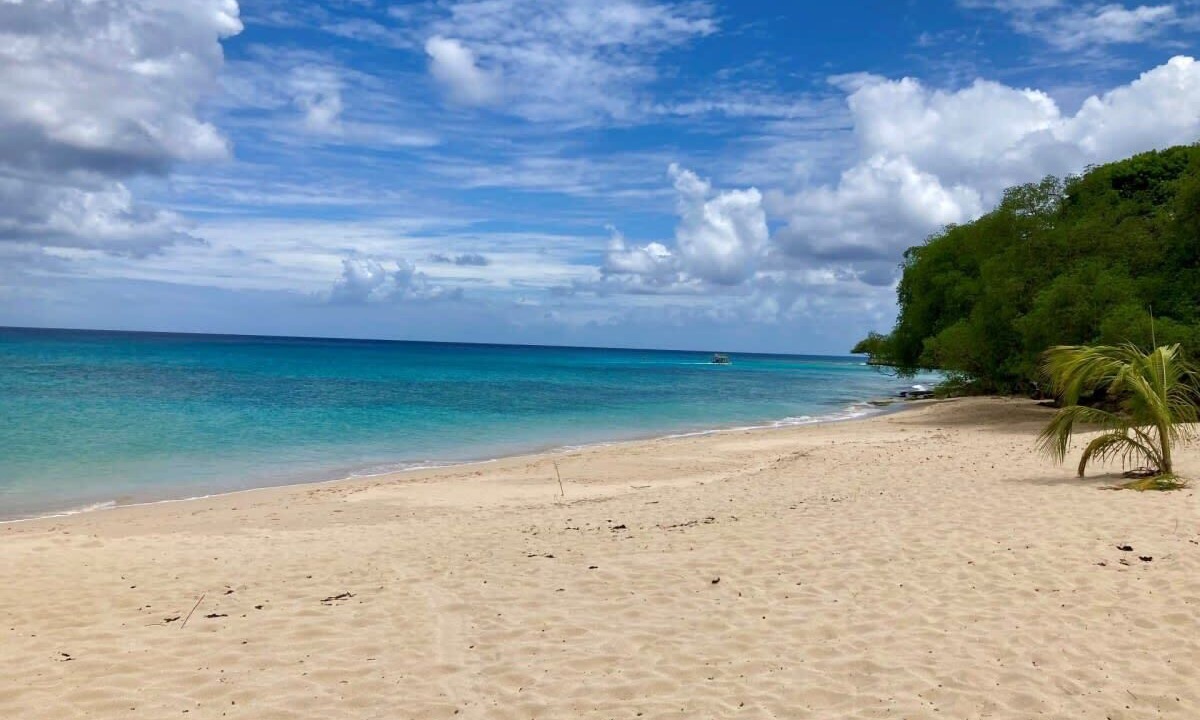 Photo of Others in Reeds Bay