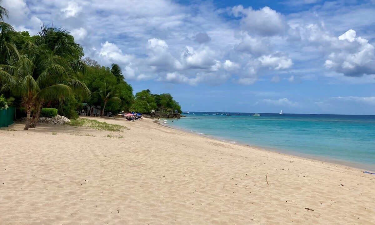 Photo of Others in Reeds Bay