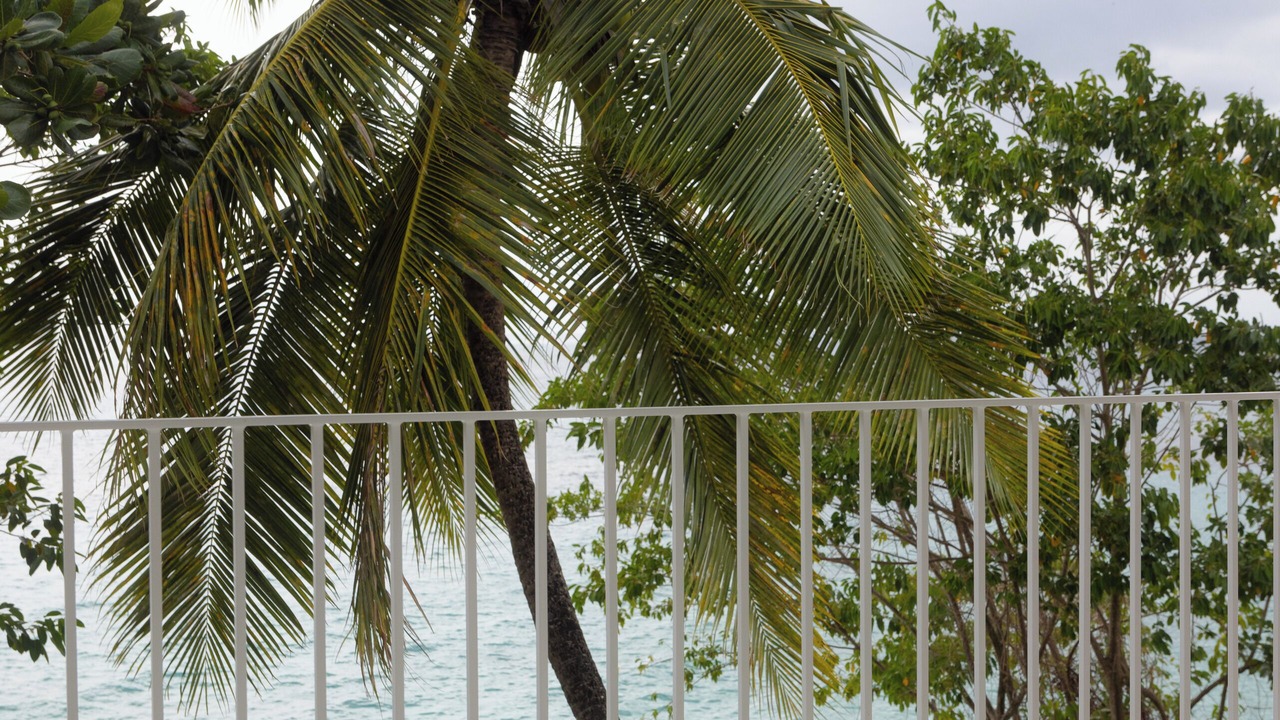 Photo of Outdoor in Clinketts