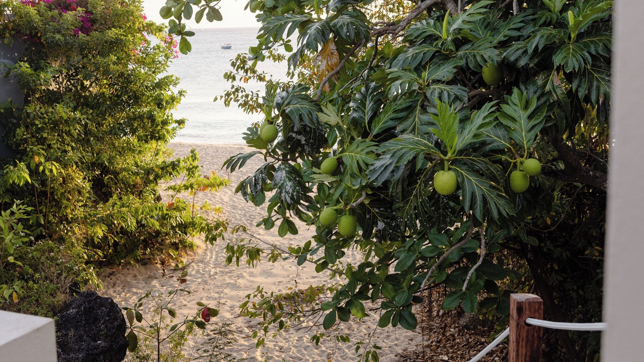 Photo of Outdoor in Clinketts