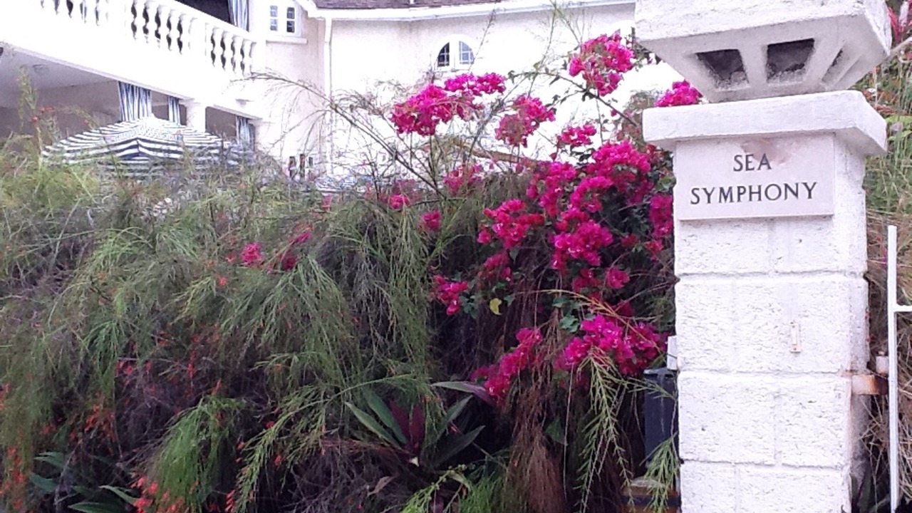 Photo of Outdoor in Checker Hall
