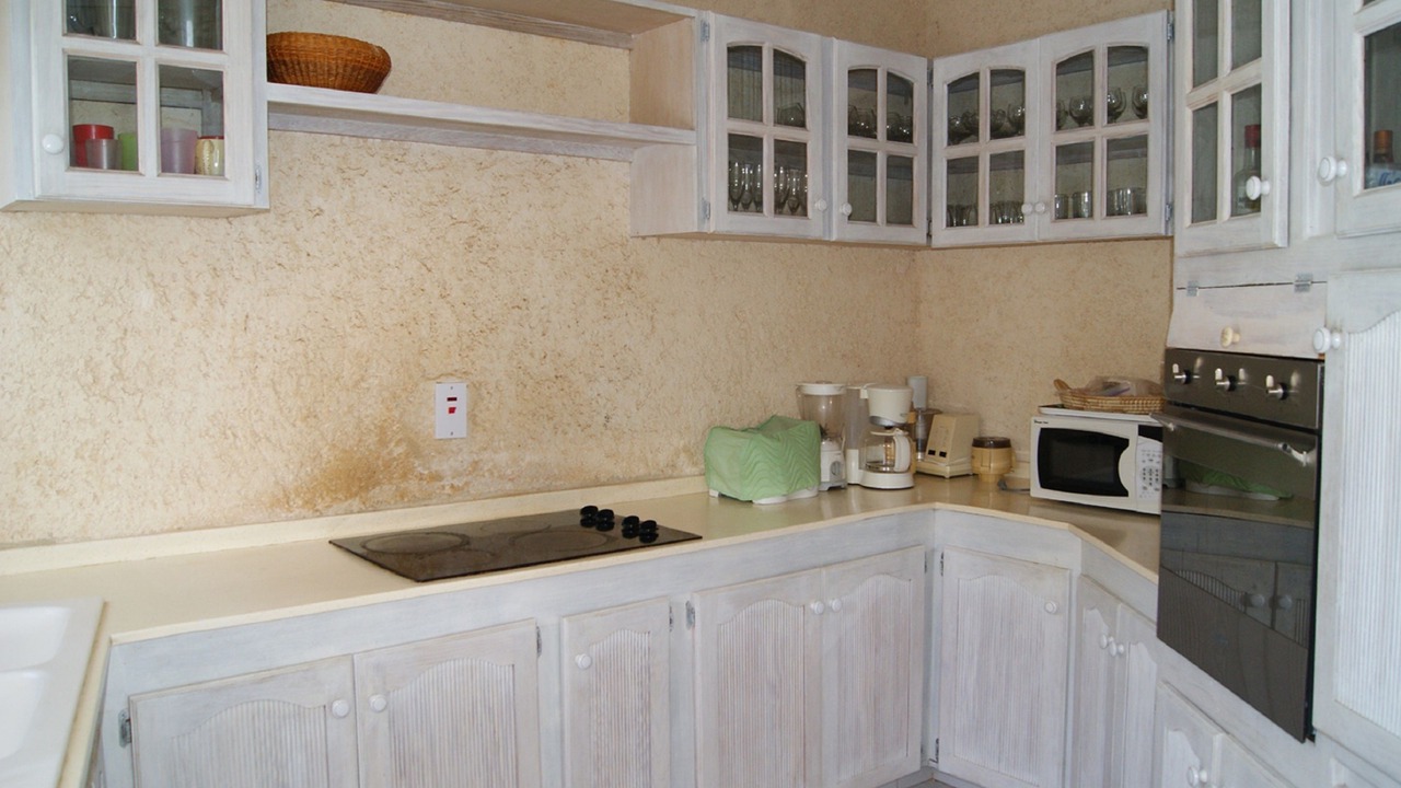 Photo of Kitchen in Checker Hall