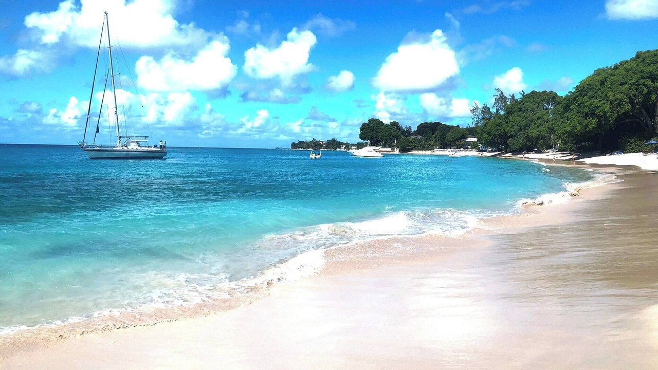 Photo of Others in Weston