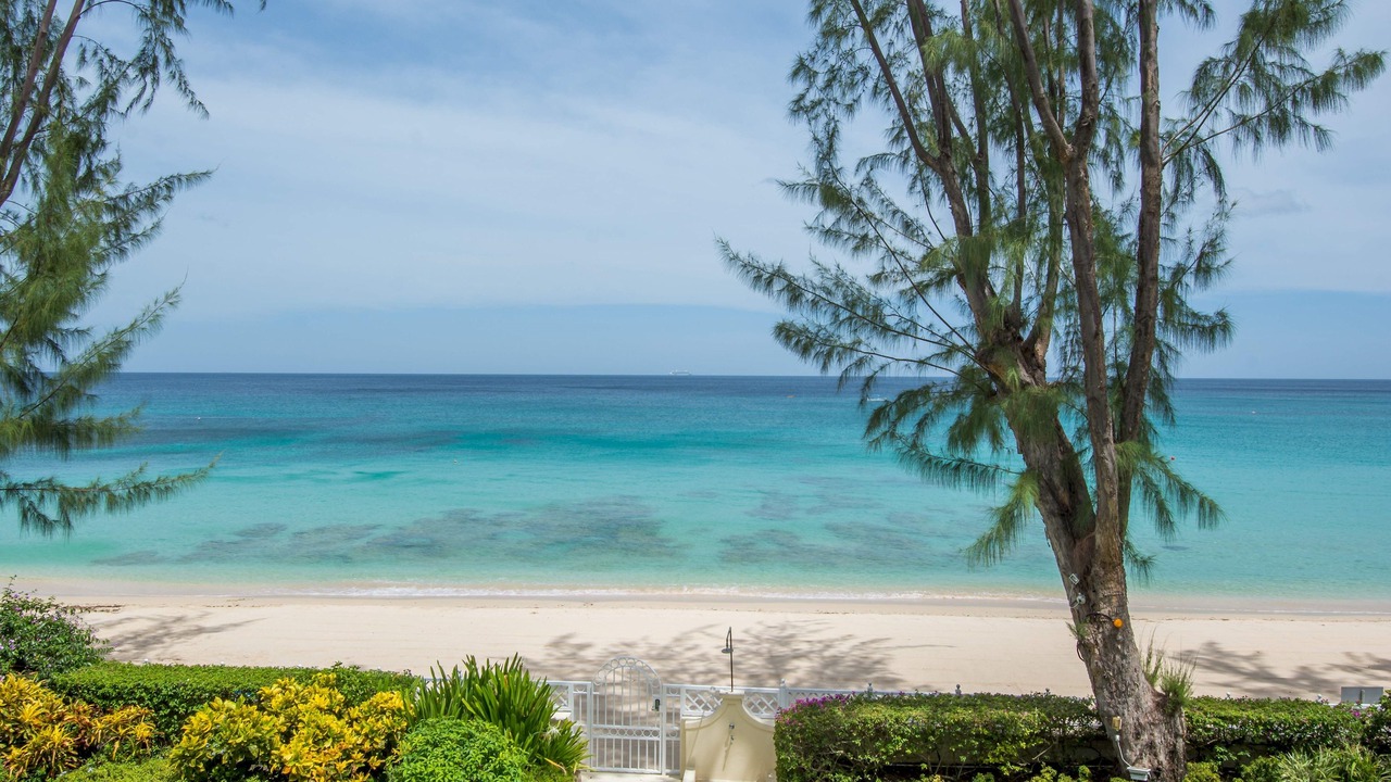 Photo of Outdoor in Old Trees Bay