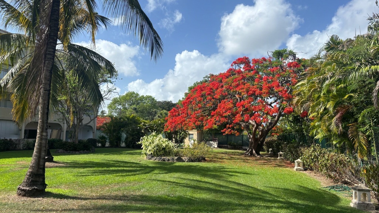 Photo of Others in Sunset Crest