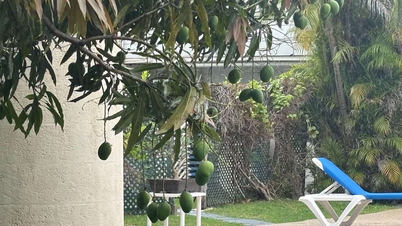 Photo of Outdoor in Sunset Crest