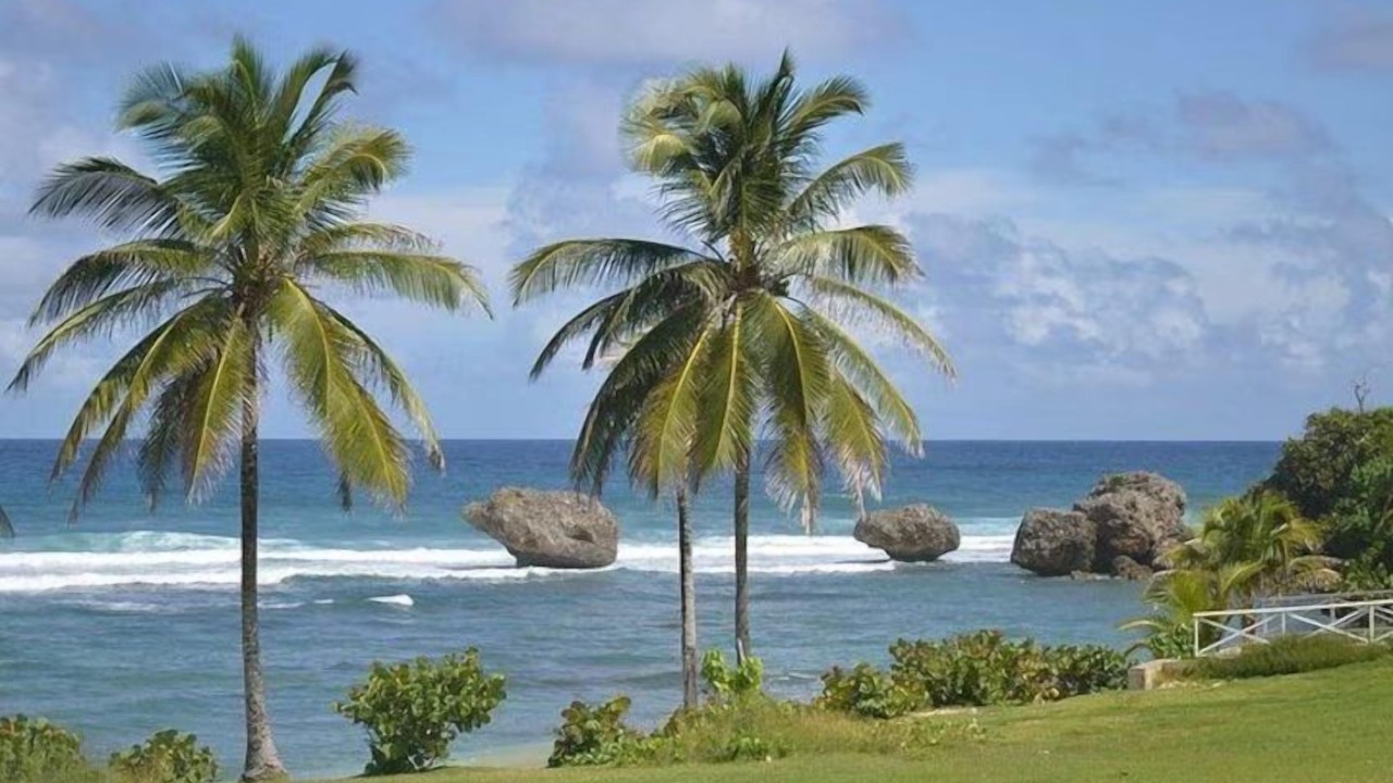 Photo of Outdoor in Windy Hill