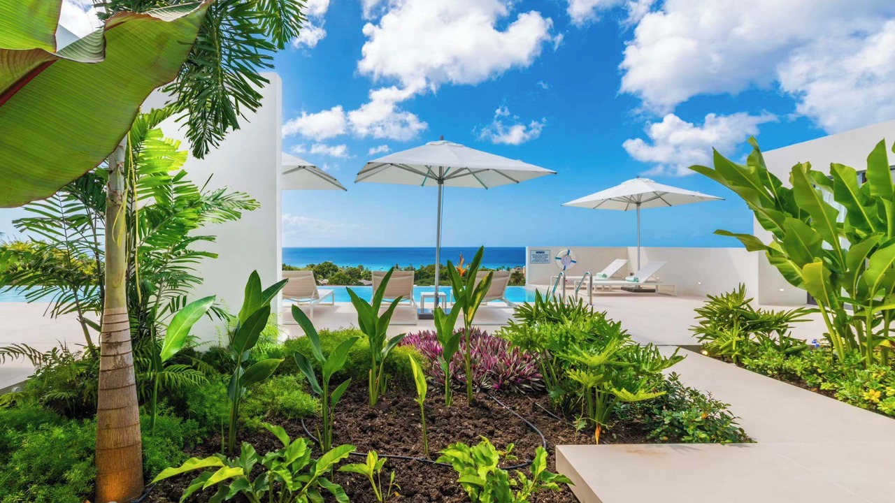 Photo of Outdoor in Weston