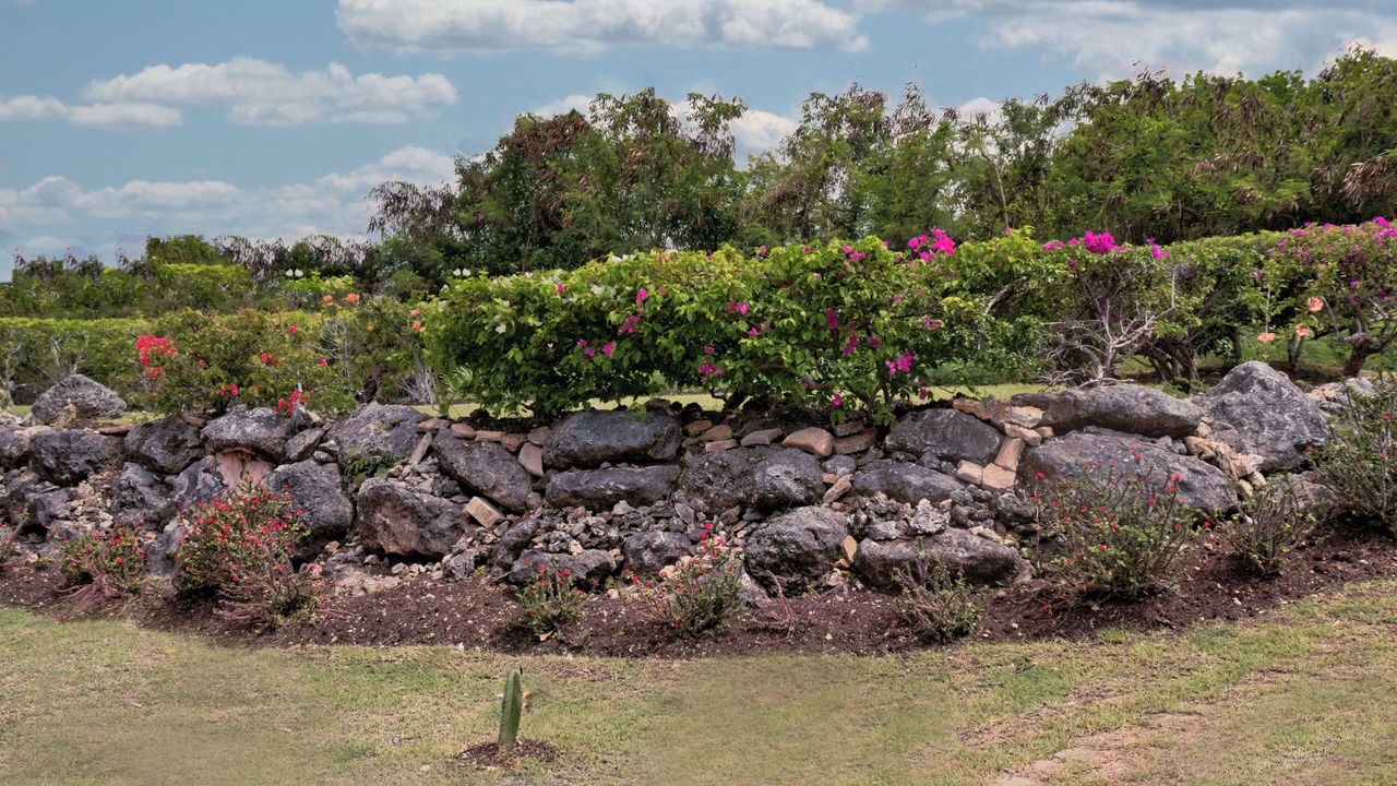 Photo of Outdoor in Gibbons
