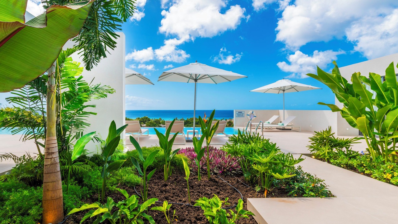 Photo of Outdoor in Weston
