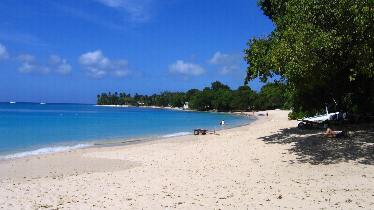 Photo of Others in Old Trees Bay