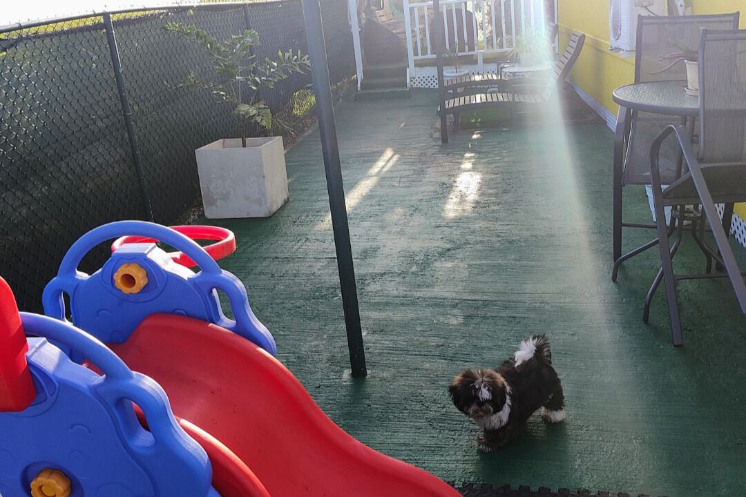 Photo of Outdoor in West Coast