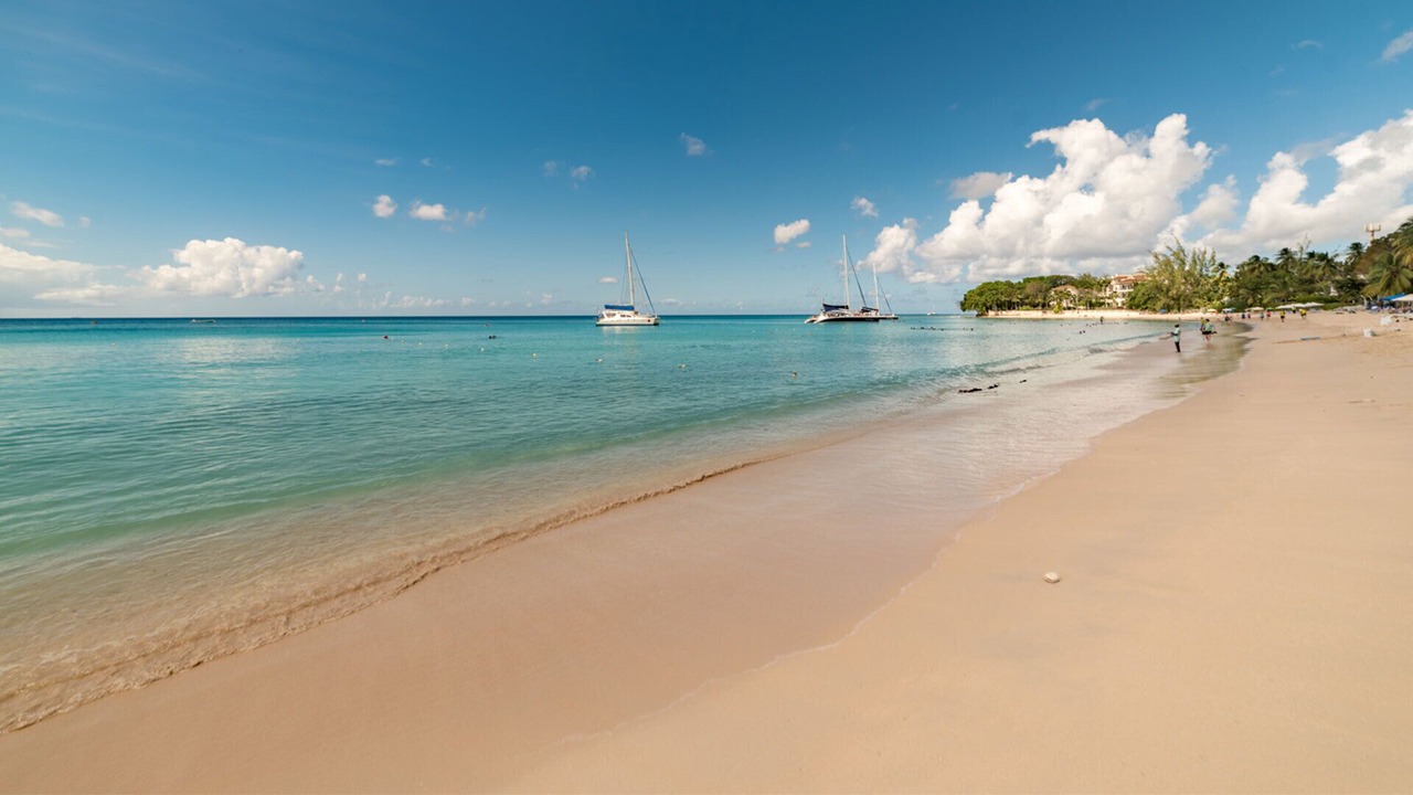 Photo of Others in Old Trees Bay