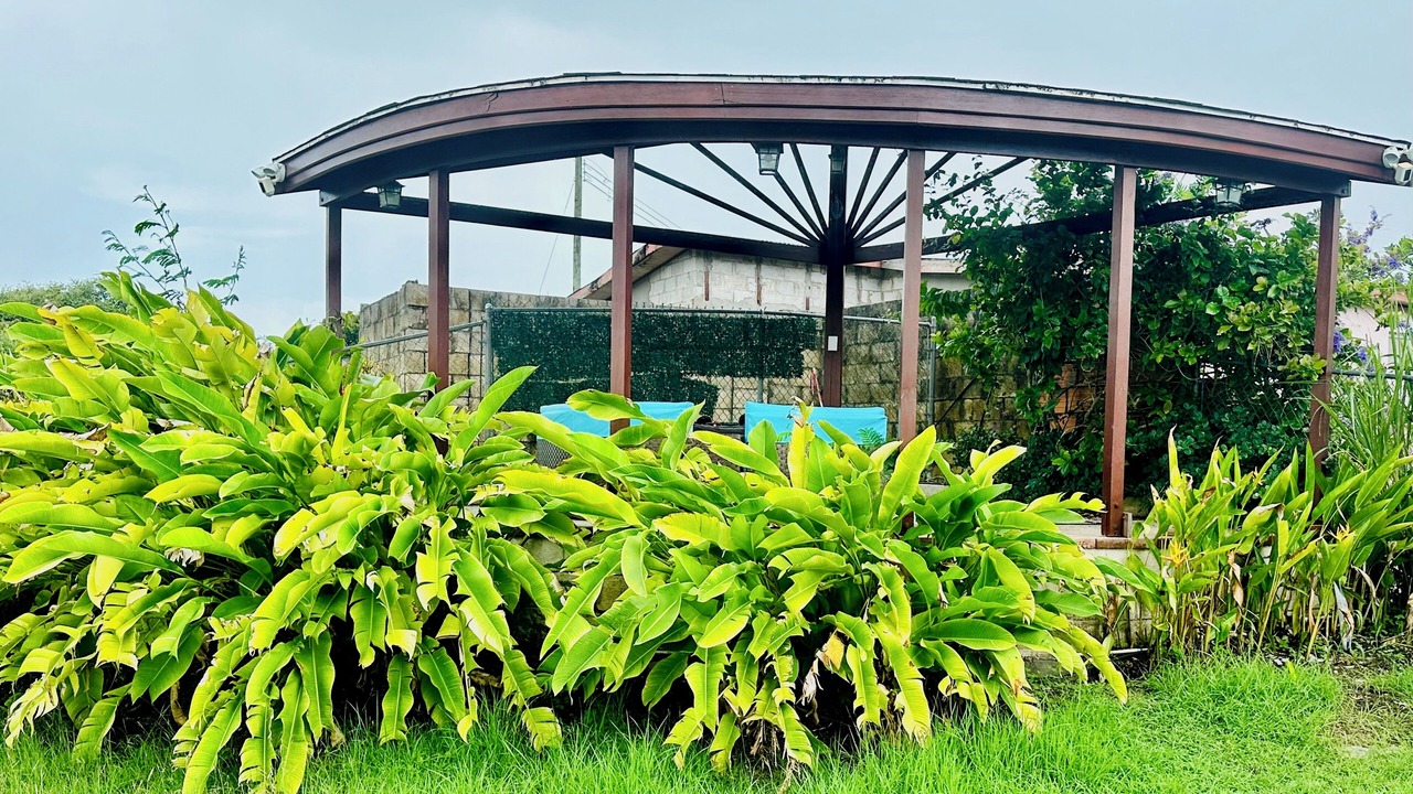 Photo of Outdoor in Surinam