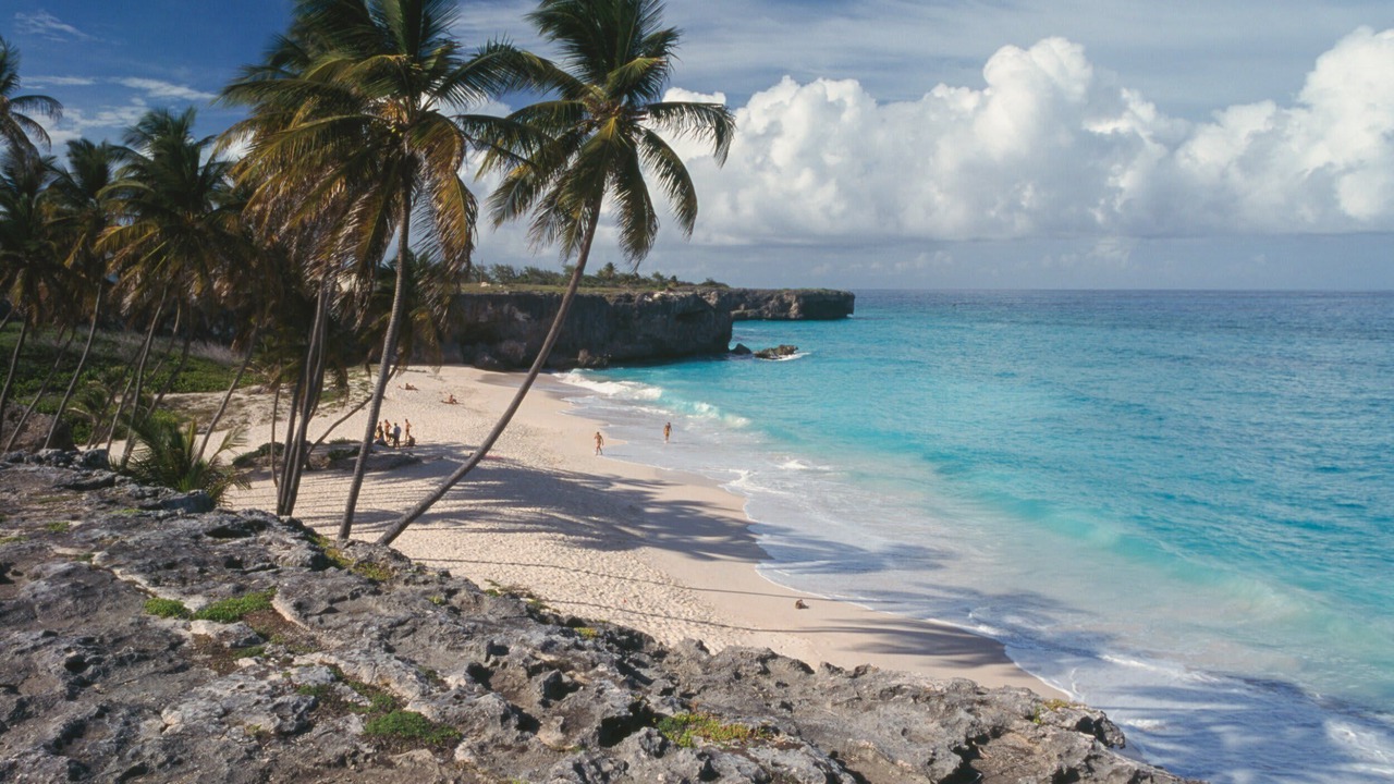 Photo of Others in Reeds Bay