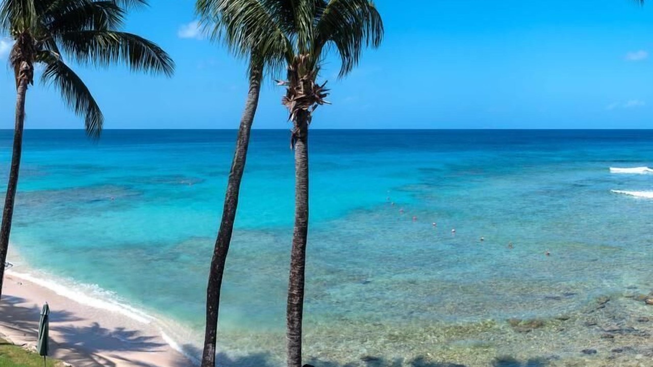Photo of Others in Reeds Bay