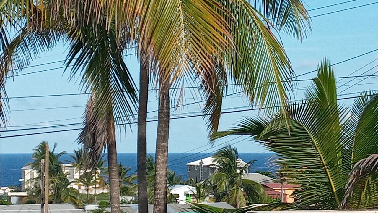 Photo of Outdoor in Sterling