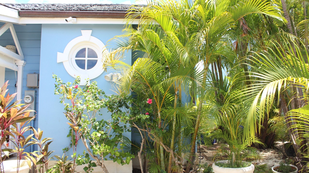 Photo of Outdoor in Porters