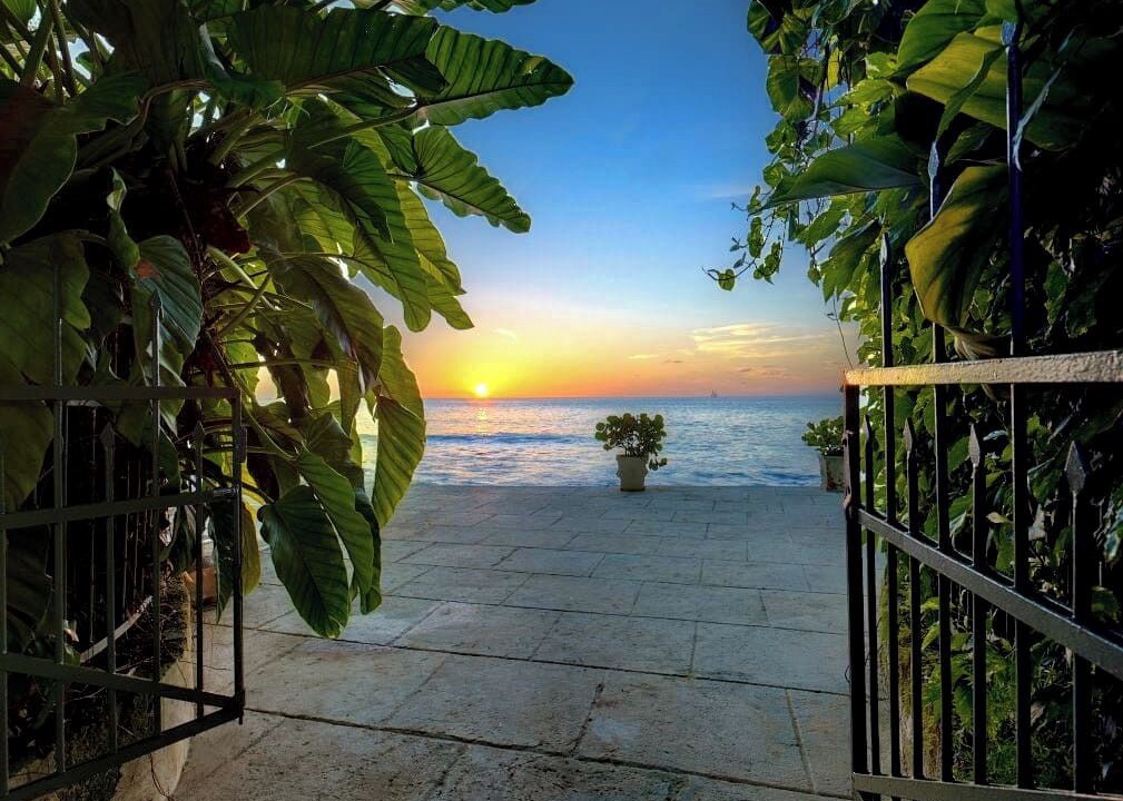 Photo of Outdoor in Weston