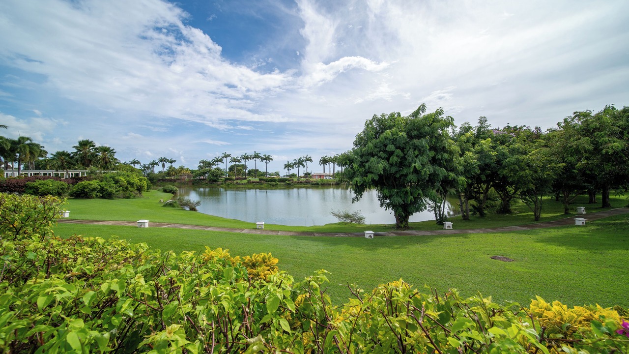 Photo of Outdoor in Westmoreland