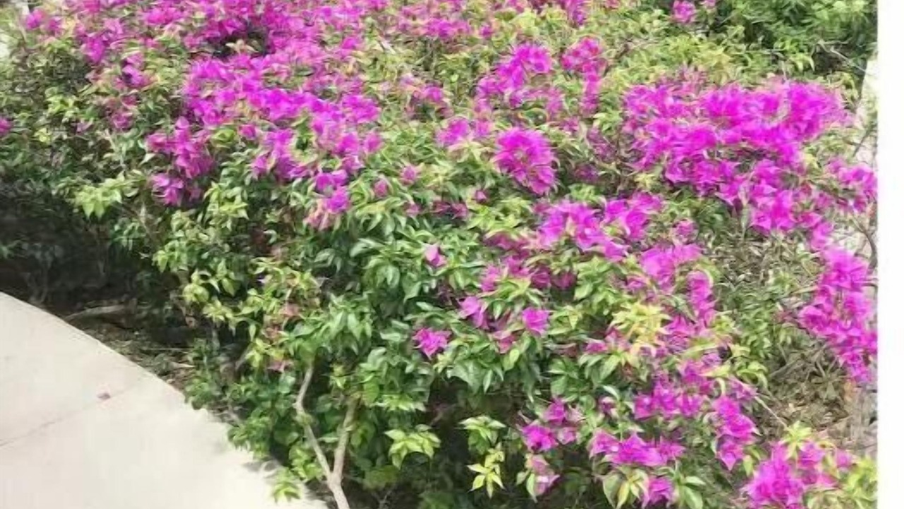 Photo of Outdoor in Weston