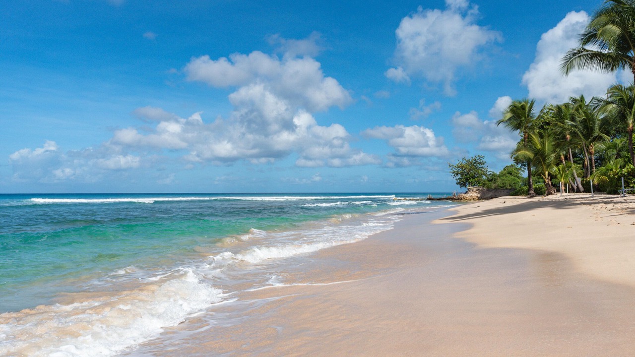 Photo of Others in Schooner Bay
