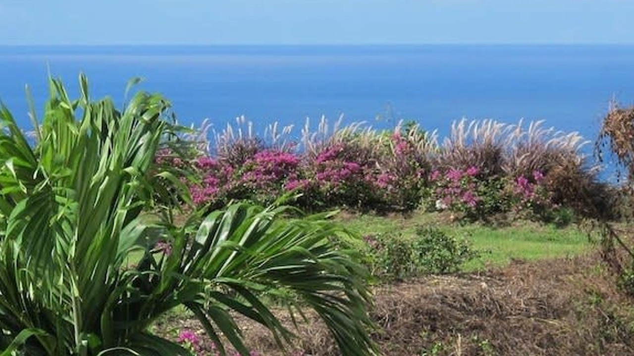 Photo of Outdoor in Speightstown