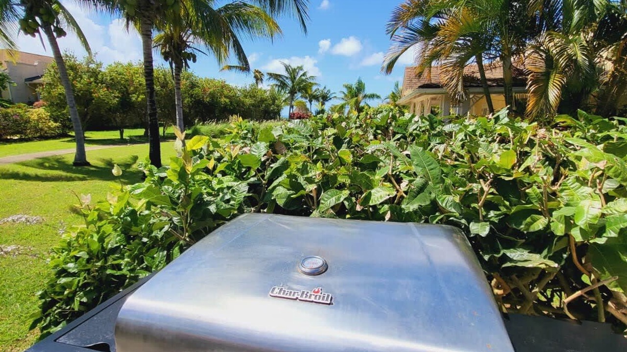 Photo of Outdoor in Speightstown